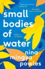 Small Bodies of Water - eBook