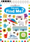 Can You Find Me? - Book