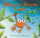 When the Storm Came - Book