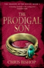 The Prodigal Son - eBook