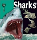 Sharks - Book