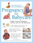 The Practical Encyclopedia of Pregnancy & Babycare : A Highly Visual and Informative Reference with Over 500 Illustrations - Book