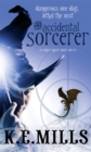 The Accidental Sorcerer : Book 1 of the Rogue Agent Novels - Book