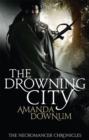 The Drowning City - Book