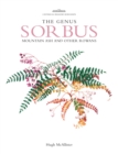 Genus Sorbus : mountain ash and other rowans - eBook