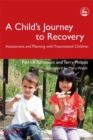 A Child's Journey to Recovery : Assessment and Planning with Traumatized Children - Book