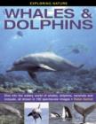 Exploring Nature: Whales & Dolphins : Dive into the Watery World of Whales, Dolphins, Narwhals and Rorquals, All Shown in 190 Spectacular Images - Book