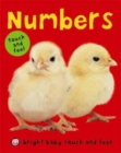 Bright Baby Touch & Feel Numbers - Book