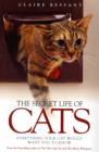 The Secret Life of Cats : Everything Your Cat Would Want You to Know - Book