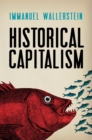 Historical Capitalism - Book