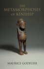 Metamorphoses of Kinship - eBook