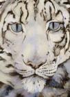 The Snow Leopard - Book
