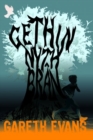 Gethin Nyth Bran - Book