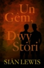 Un Gem, Dwy Stori - Book