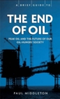 The End of Oil - Book
