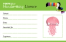 Penpals for Handwriting Pen Licence Cards (pack of 200) - Book