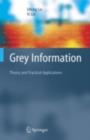 Grey Information : Theory and Practical Applications - eBook