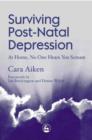 Surviving Post-Natal Depression : At Home, No One Hears You Scream - eBook
