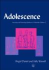 Adolescence : Assessing and Promoting Resilience in Vulnerable Children 3 - eBook