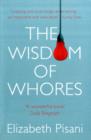 The Wisdom Of Whores : Bureaucrats, Brothels And The Business Of Aids - Book