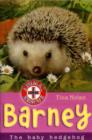 Barney : The Baby Hedgehog - Book
