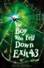 The Boy Who Fell Down Exit 43 - Book