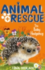 The Baby Hedgehog - Book