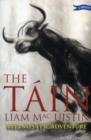 The Tain : Ireland's Epic Adventure - Book