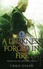 A Darkness Forged in Fire : Book One of The Iron Elves - eBook
