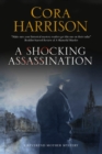 A Shocking Assassination - Book