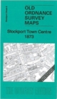 Stockport Town Centre 1873 : Stockport Sheet 8 - Book