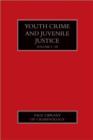 Youth Crime and Juvenile Justice - Book