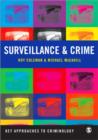 Surveillance and Crime - Book