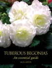 Tuberous Begonias : An Essential Guide - Book