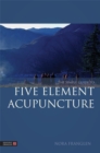 The Simple Guide to Five Element Acupuncture - Book