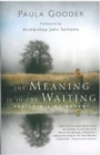 The Meaning is in the Waiting : The Spirit of Advent - eBook