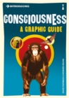 Introducing Consciousness - eBook