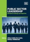 Public Sector Leadership : International Challenges and Perspectives - eBook