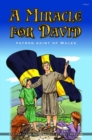 Miracle for David, A - Patron Saint of Wales - Book