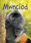 Cyfres Dechrau Da: Mwnciod - Book