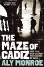 The Maze of Cadiz : Peter Cotton Thriller 1: The first thriller in this gripping espionage series - eBook
