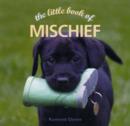 The Little Book of Mischief - Book