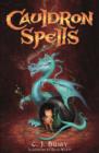 Cauldron Spells - Book