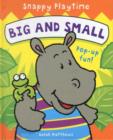 Snappy Playtime - Big & Small - Book