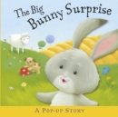 The Big Bunny Surprise - Book