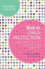 Risk in Child Protection : Assessment Challenges and Frameworks for Practice - Book