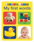 My First Words : Baby Basics - Book