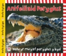 Cyfres Dwlu Dysgu: Anifeiliaid Peryglus - eBook