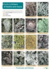 Guide to Lichens of Heaths and Moors - Book