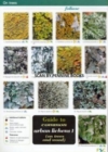 Guide to Common Urban Lichens : On Trees and Wood Pt. 1 - Book